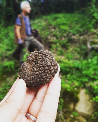InstaSave (1)